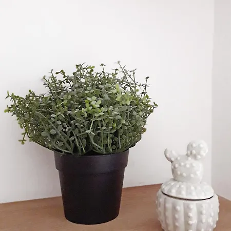 Appartement Haussmann Paris